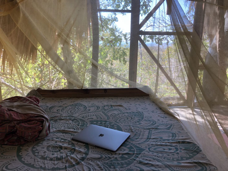 Writing inside the tree house