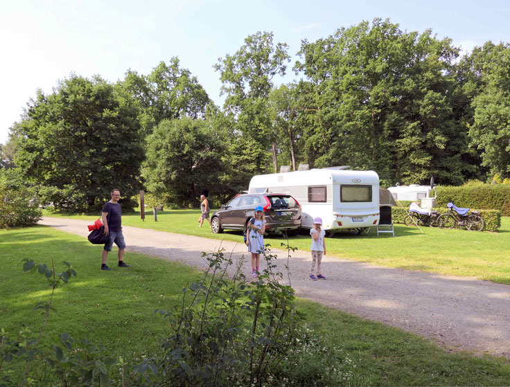Oertzewinkel Camping: Großzügige Stellplätze, grün und gepflegt, Komfortplätze sogar bis 160 qm