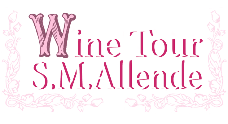 A real wine experience - Wine Tour Guanajuato