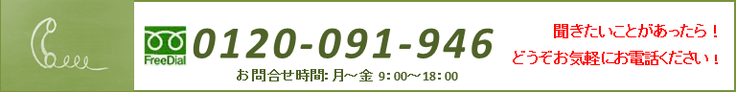 珪藻土　漆喰　塗り壁　DIY　天然素材