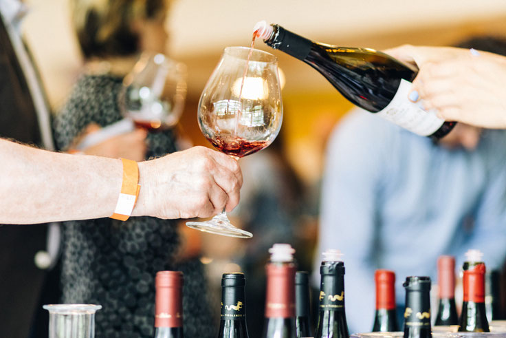 Südtiroler Blauburgunder Tage Concorso Nazionale del Pinot nero - Gourmet Südtirol