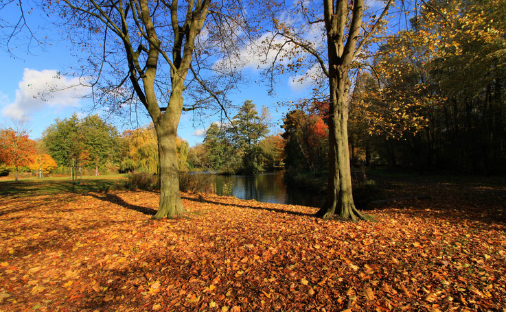 Ein sonniger Herbsttag am Fluss 