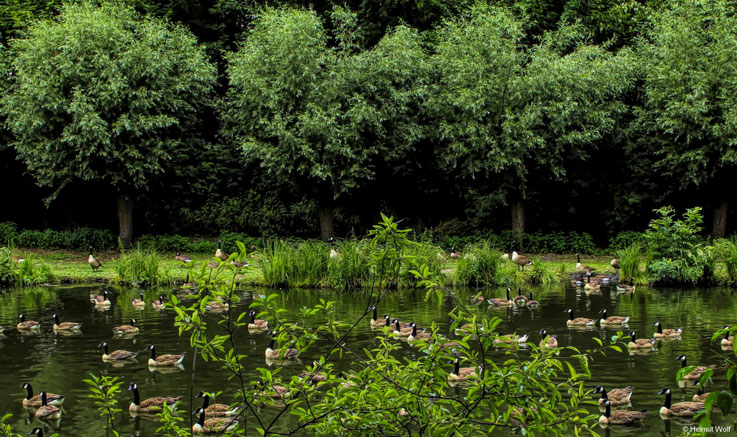 An der Niers