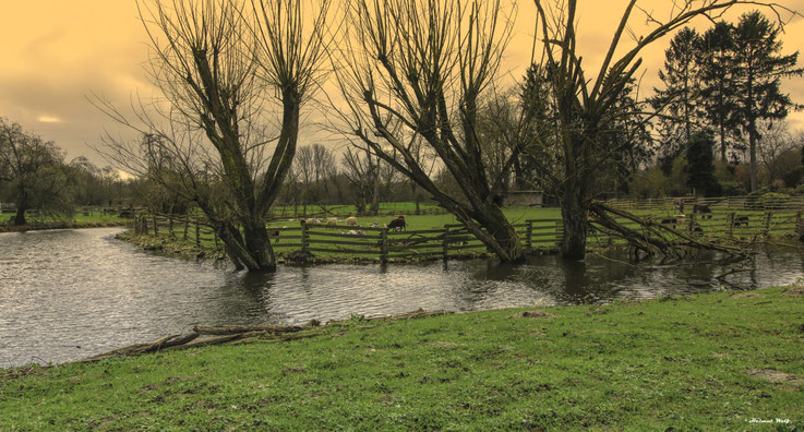 Idylle am Niederrhein beim Rittergut Wildenrath