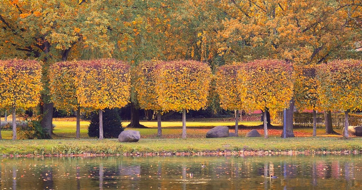 Herbst am Schloss Wickrath in Mönchengladbach 