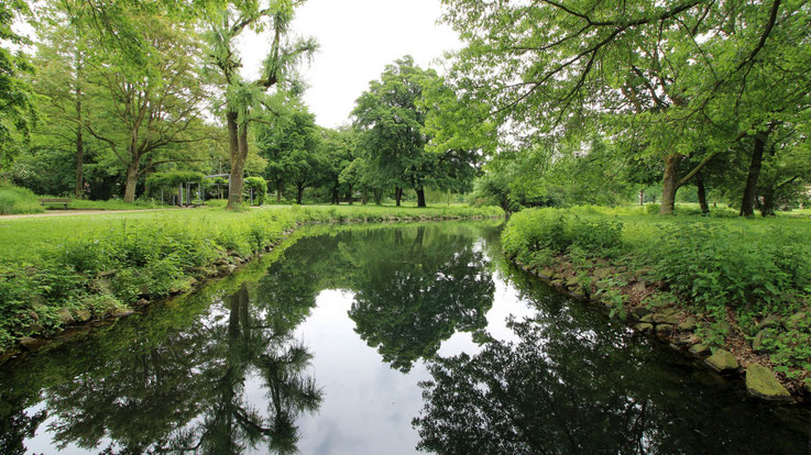 Die Niers an der Beller Mühle 