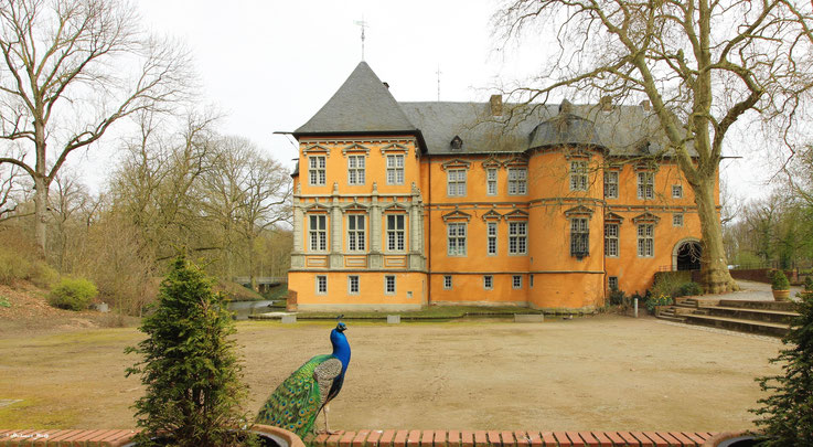 Schloss Rheydt im Frühling 