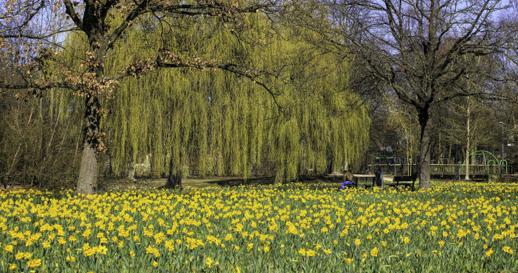 Frühling im Park