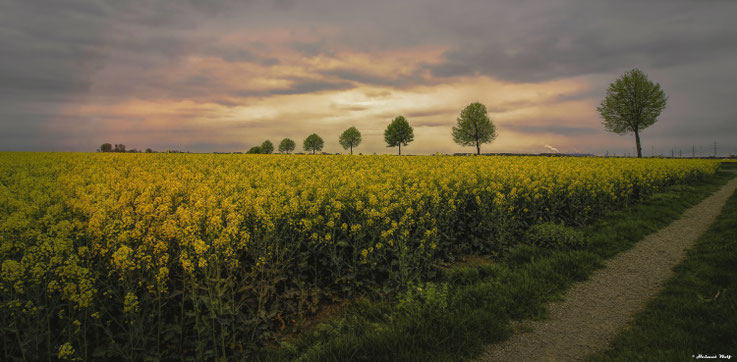 Gewitterstimmung am Niederrhein 