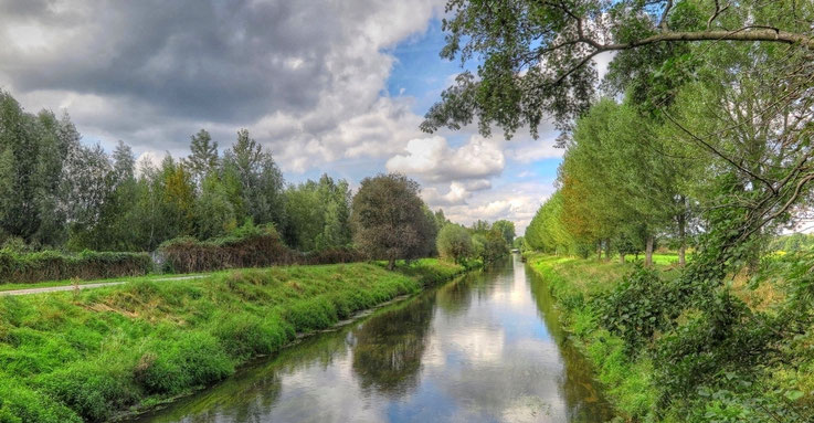 Die Niers an der Cloerather Mühle in Viersen 