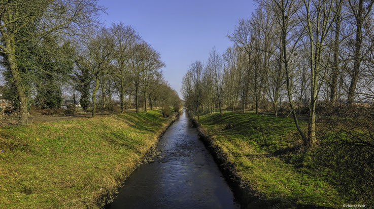 Die Niers im Frühling 