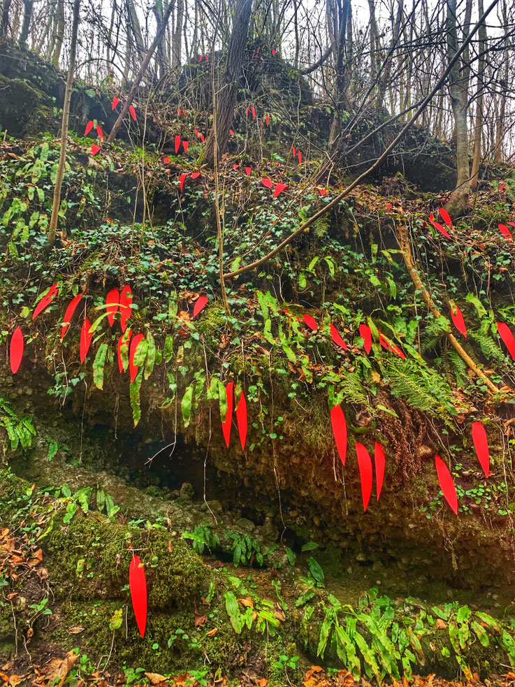 Engelszungen  ein Graben ver wunschen Wünsche auf dem Berg zu Hellbrunn einst bewohnt und betrohnt eines keltischen Fürstens Sitz sicher in abgeschotteter Höh gesäumt von Quellen an der Basis oben Oase wünsche uns einen Blick zurück wir wissen nicht wir s