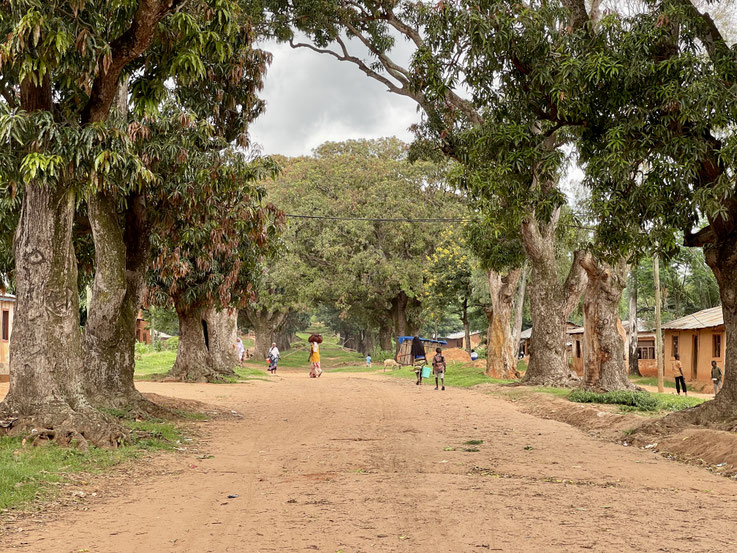 Mango Row, eines der historischen Sehenswürdigkeiten in Ujiji