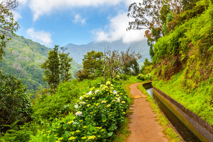 Levadas versorgen große Teile von Madeira mit Wasser