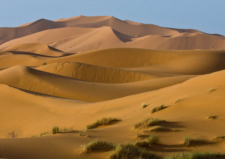 Sonnenaufgang über der Sahara