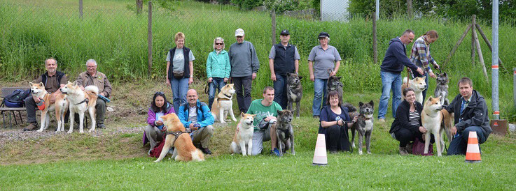 Tag des Hundes im Schwarzwald Juli 2014