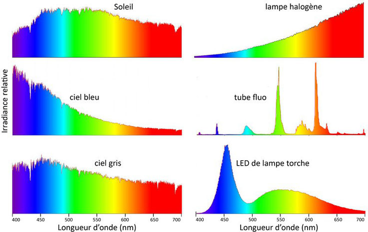 Spectres d'émission de différentes sources de lumière : soleil, ciel bleu, ciel gris, lampe halogène, tube fluo, lampe à LED