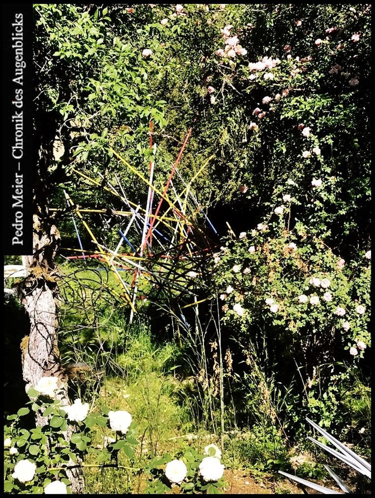 Pedro Meier, wild überwachsener Ateliergarten, Mikado-Skulpturen, blühende Ramblerrosen, Zwetschgenbäume, Bambus. Links am Baumstamm schwebende Spiralen-Skulptur aus Kupferdraht, Inspirationsort, Schreibort, Kraftort, Rückzugsort Pedro Meier, Malerpoet