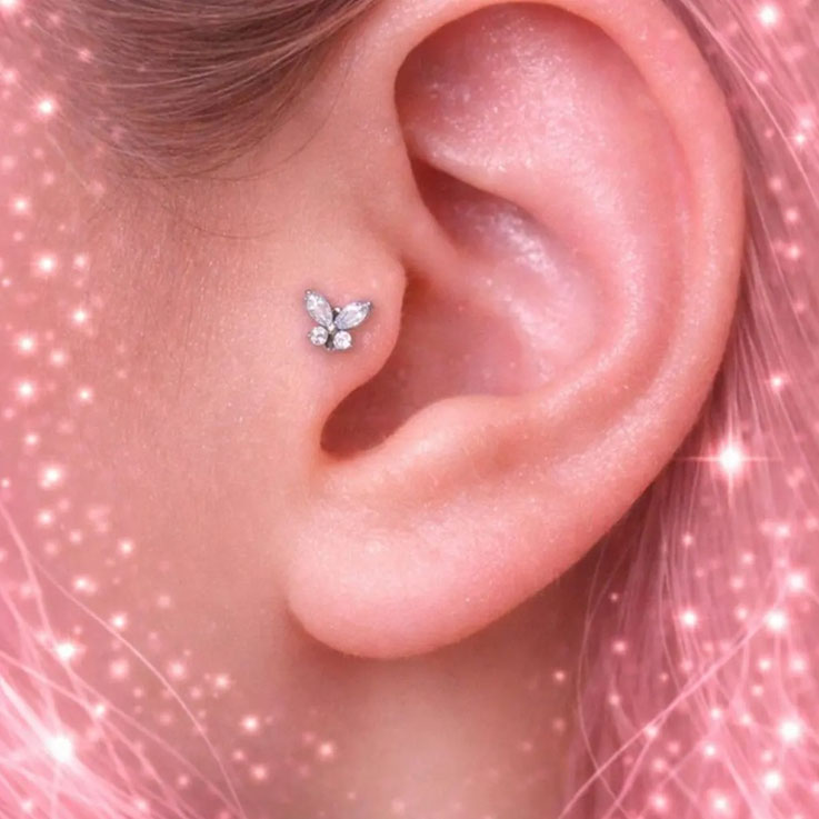 Tragus Piercing bei UDOPEARL in Kassel