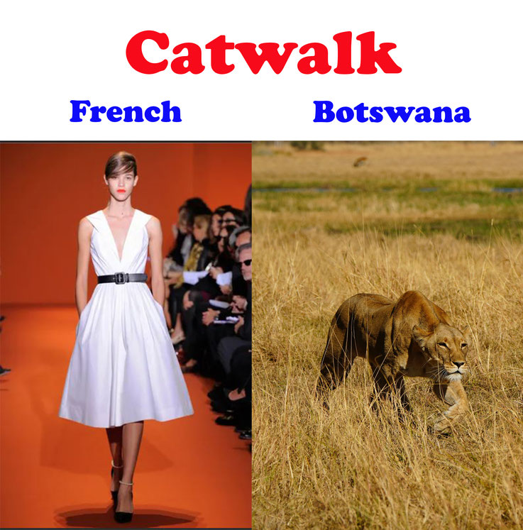 Catwalk in Frankreich und Catwalk in Botswana