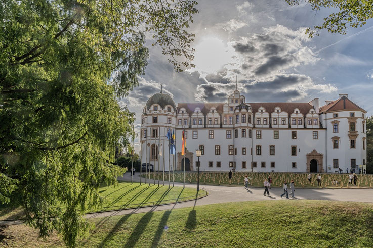 Celle, Welfenschloss, Schloss