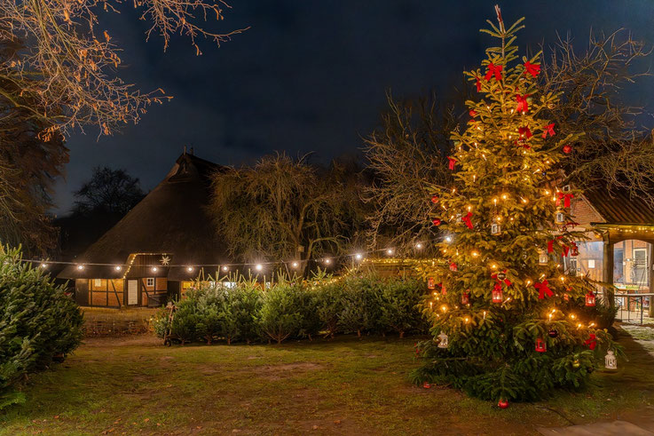 Weihnachtsbaum, Wagnerhof, Museumsdorf Volksdorf