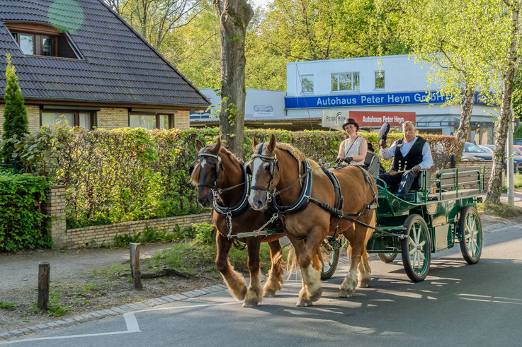 Traditionell holt das Museumsdorf das Team der Freiwilligen Feuerwehr Volksdorf mit der Kutsche ab.