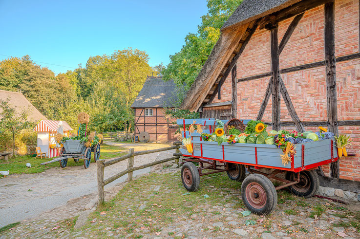 Erntewagen Museumsdorf Volksdorf Erntefest Gemüse