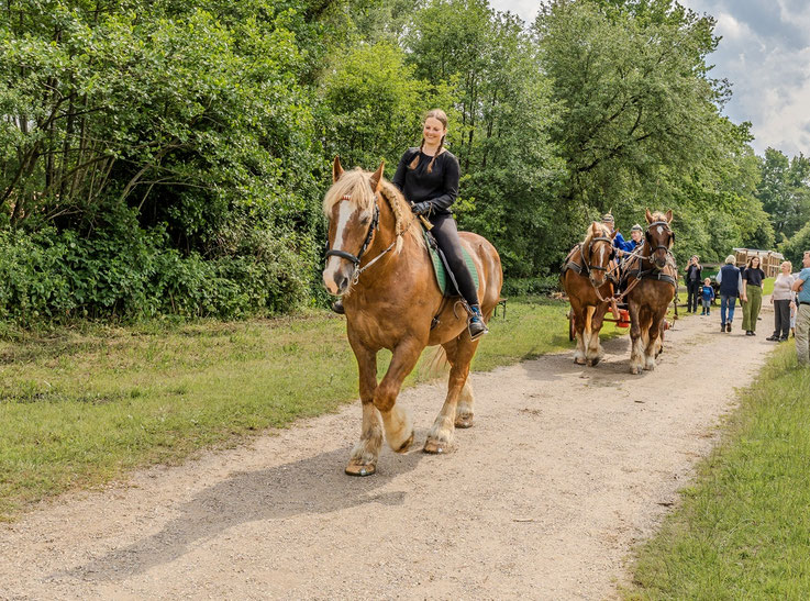 Volksdorf, firefighters, horsecart