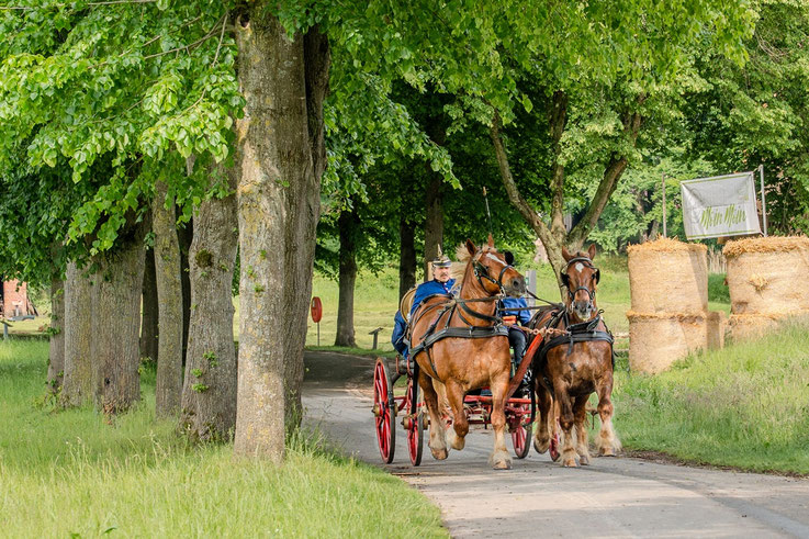 Volksdorf, fire fighters horsecart