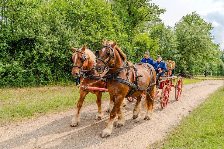 Volksdorf firefighters, horsecart