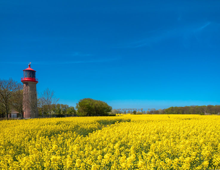 Luchtturm, Staberhuk, Lighthouse, rasp, Raps, Fehmarn