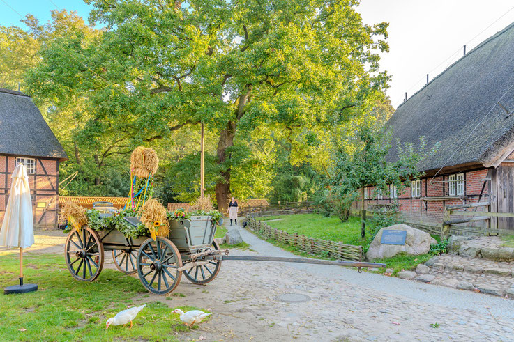 Dorfstraße, Ackerwagen mit Erntekrone, Museumsdorf Volksdorf