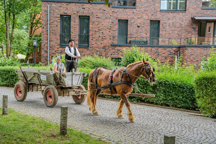 bäuserlicher Ackerwagen, Kutsche