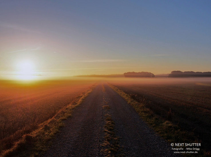 Sonnenaufgang auf dem Feld vor unserem Ferienhaus in Grena am Kattegat