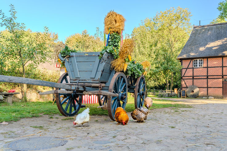 Hühner, Ackerwagen mit Erntekrone, Erntefest Museumsdorf Volksdorf