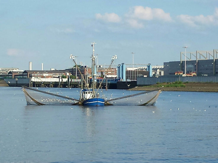 Airbus, Fischkutter