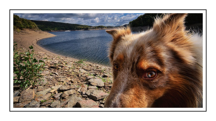 Foto des Tages 28.10.2020