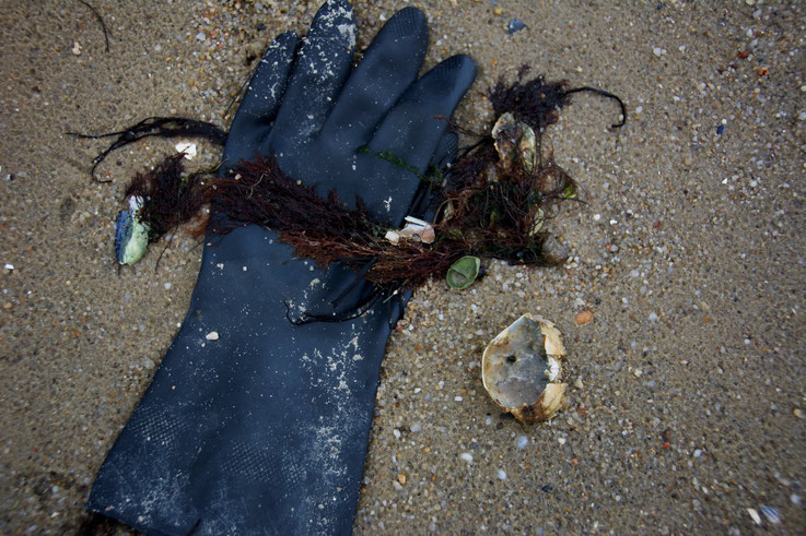 Der Tatortreiniger am Strand