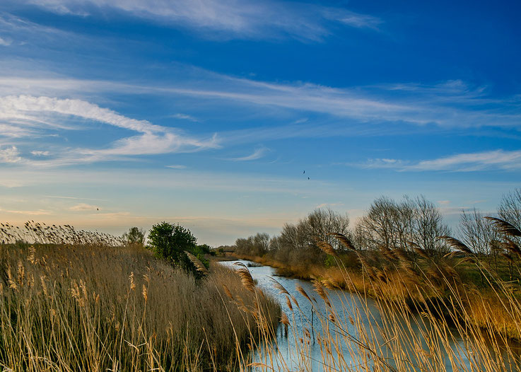 Laguna di Chioggia