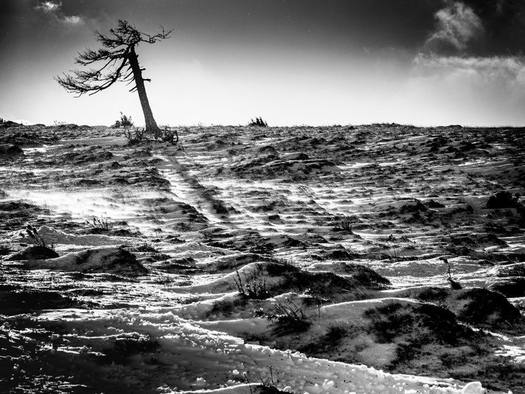 "Stormy winter" (Monochrome Awards 2021 - "Honorable Mention" in the category "Landscapes/Amateur")