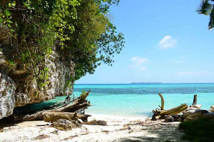Palau reef safe sunscreens