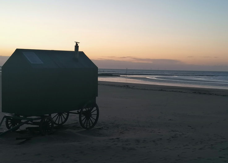 Haeckel's Victorian bathing machine community sauna. Image: M Smith