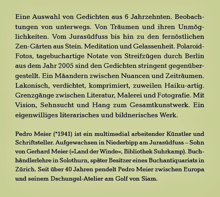 Pedro Meier Schriftsteller – Klappentext zu: Das Gewicht des Schattens im Sonnenschein – Gedichte und Polaroids von Berlin – ISBN 978-3-8260-7110-2 – Verlag Königshausen & Neumann, Würzburg, 2020 – BuchCover: Himmel über Berlin – Lyrik aus 6 Jahrzehnten 