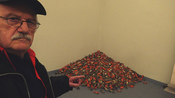 Pedro Meier – Ai Weiwei »Crabs - He Xie« porcelain – »D'ailleurs c'est toujours les autres«, Musée cantonal des Beaux-Arts Lausanne – (Uli Sigg – Bernard Fibicher). »Selfie-Art-Project« Pedro Meier Multimedia Art 2017, Gerhard Meier Weg Niederbipp Bangkok