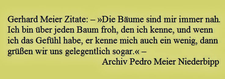 Gerhard Meier Zitat – »Die Bäume sind mir immer nah. Ich bin über jeden Baum froh, den ich kenne, und wenn ich das Gefühl habe, er kenne mich auch ein wenig...« – aus: »Das dunkle Fest des Lebens«, Werner Morlang, Suhrkamp – Archiv Pedro Meier Niederbipp