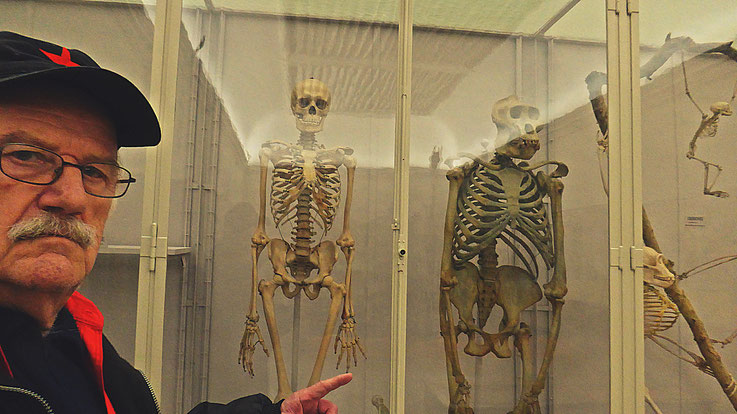 Pedro Meier – Ai Weiwei – »Selfie-Art-Project with Skeletons of humans and monkeys« – »D'ailleurs c'est toujours les autres«, Musée cantonal des Beaux-Arts (Uli Sigg – Bernard Fibicher), Pedro Meier Multimedia Artist Gerhard Meier Weg Niederbipp – Bangkok