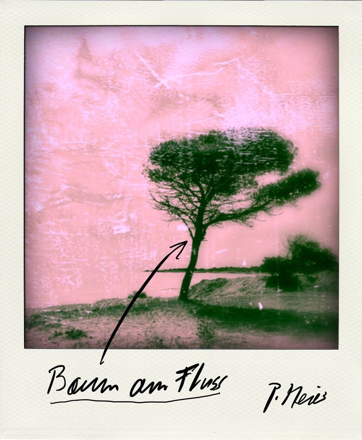 Pedro Meier, Baum am Fluss, Mark Brandenburg, Berlin, Polaroid Foto 2005 aus Lyrikband – Der Himmel über UTOPIA, Caracol Verlag, Chronik des Augenblicks, Pedro Meier Lyriker, Schriftsteller, Multimedia Künstler, Conceptual Art, Gesamtkunstwerk, Film Diary