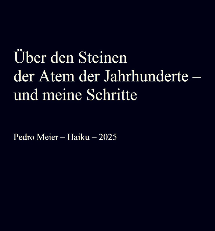 Pedro Meier Kyoto Haiku 2025 – Über den Steinen – der Atem der Jahrhunderte – und meine Schritte – Zen-Buddhismus, Songline-Atelier Outback, Sommeratelier Grönland – Kiyomizu-dera – Kinkaku-ji – Kenninji – Tofukuji – Pedro Meier, Schriftsteller, Artist