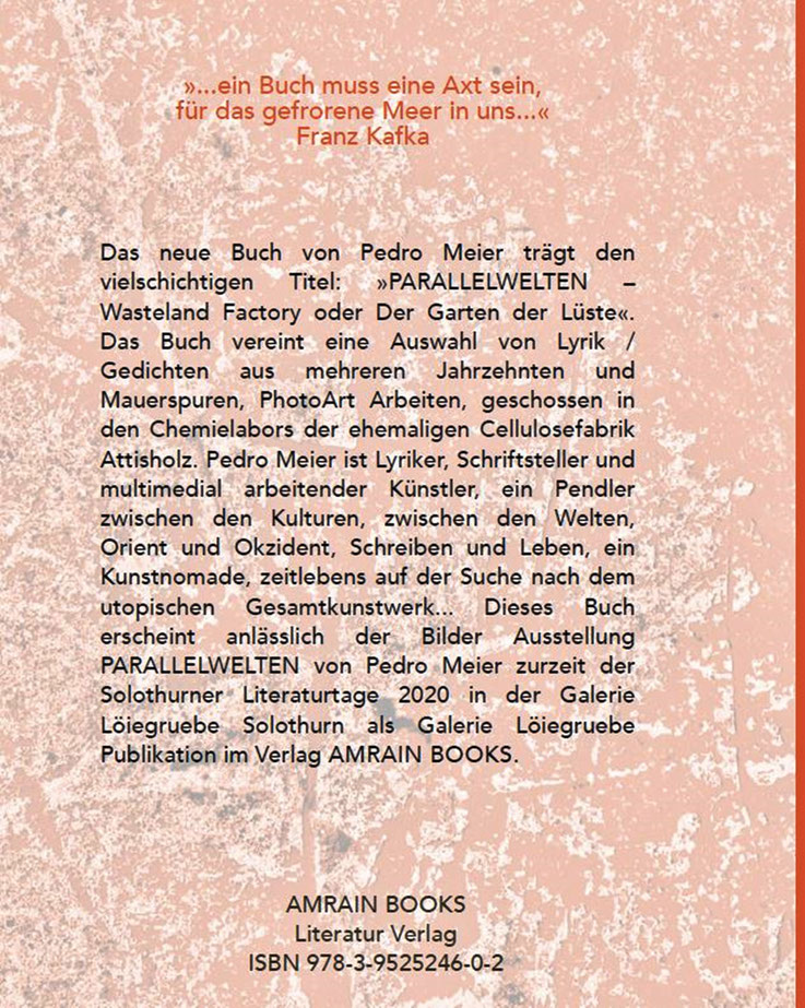 Pedro Meier Klappentext zu PARALLELWELTEN – Wasteland Factory oder Der Garten der Lüste. Mauerspuren: In Search of Lost Time (alte Cellulosefabrik Attisholz) AMRAIN BOOKS Literatur Verlag – ISBN 978-3-9525246-0-2 – Ausstellung Galerie Löiegruebe Solothurn